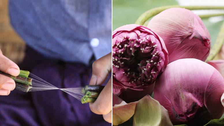 Lotusova svila: Najrjeđe vlakno na svijetu koje samo rijetki ljudi u Aziji znaju i mogu proizvesti
