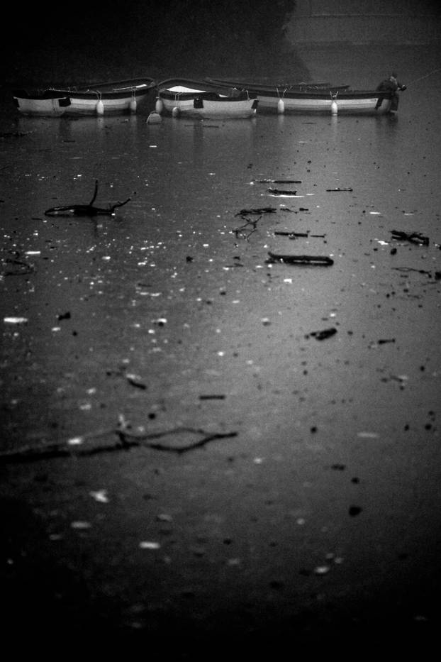 Zagreb: Gusta magla sakrila boje parka Maksimir