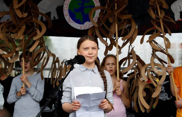 Demonstration calling for action on climate change in Vienna