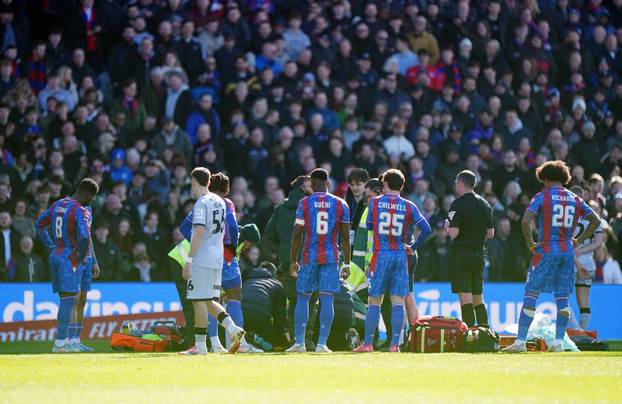 Crystal Palace v Millwall - Emirates FA Cup - Fifth Round - Selhurst Park