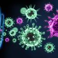 Urođeni i stečeni imunitet - koja je razlika i kako nas štite?