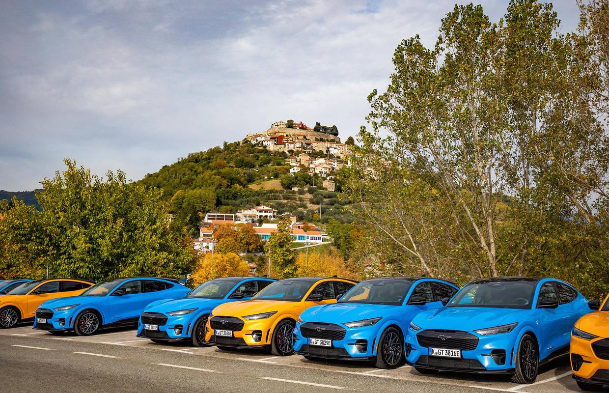 U EU do 2030. više od 60 milijuna električnih automobila