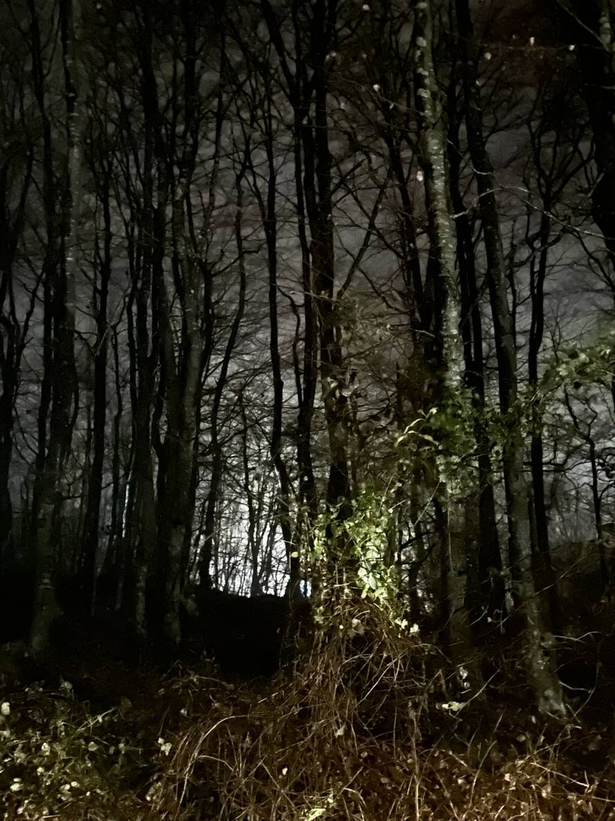 VIDEO Mještanka o padu turskog Airtractora za 24sata: 'Osjetili smo tresak kad je pao'