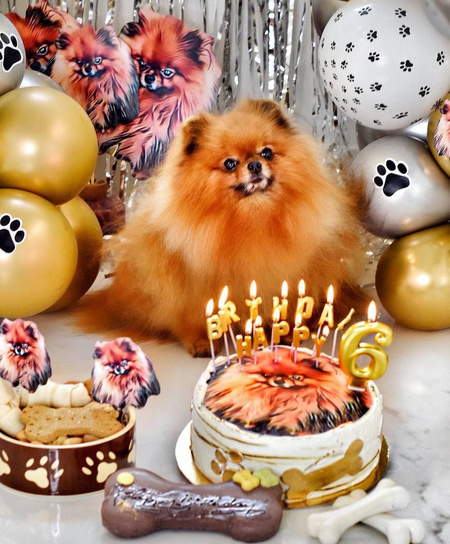 Grubnić priredio raskošni tulum psu: 'Nitko me nije volio toliko, sam Bog te poslao da me čuvaš'