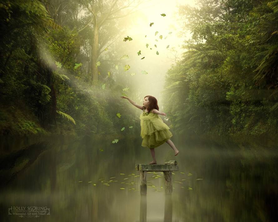  Holly Spring Photography