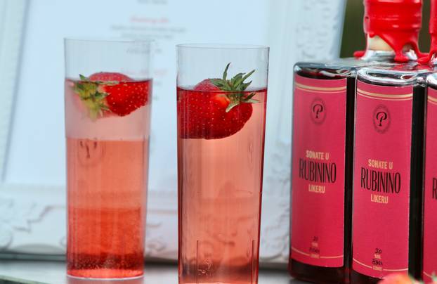 Održana je manifestacija Dani jagoda u Vrgorcu