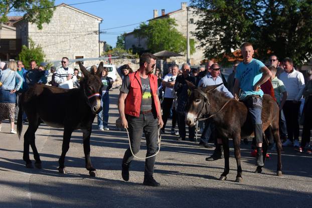 Orbanići: 56. Trka na tovari