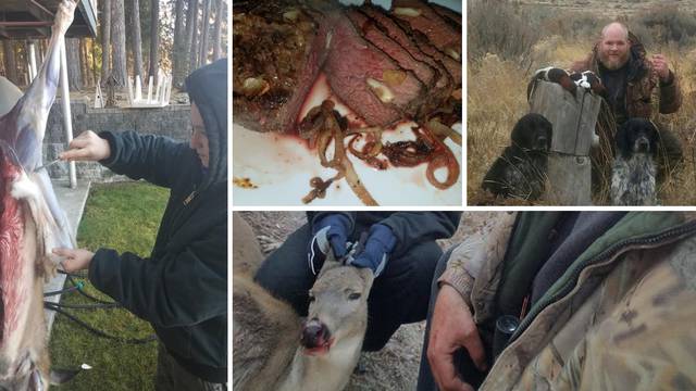 Evo kako on štedi: Za  svečane večere priprema lešine s ceste!