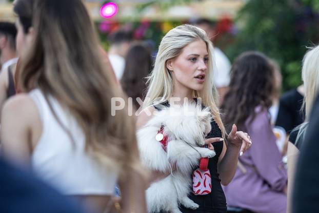 Zagreb: Festival Baš Naš vratio se na plato Gradec