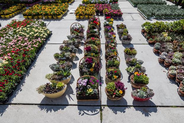 Otvorenje 49. sajma cvijeća u Splitu