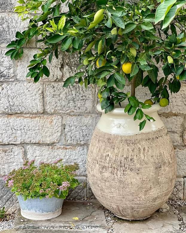 FOTO Tajne kralja cvjetnih aranžmana: 'S Majkom Terezom sam jeo uskršnji doručak'