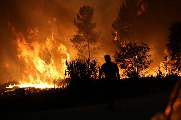 A person walks near a wildfire in Ourem
