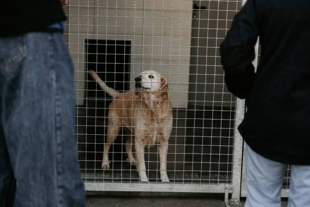 FOTO Igrači Cibone darovali su njuškice u Dumovcu i u vrijeme blagdana pokazali veliko srce
