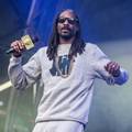 Porno stranica ponudila posao komentatora Snoop Doggu