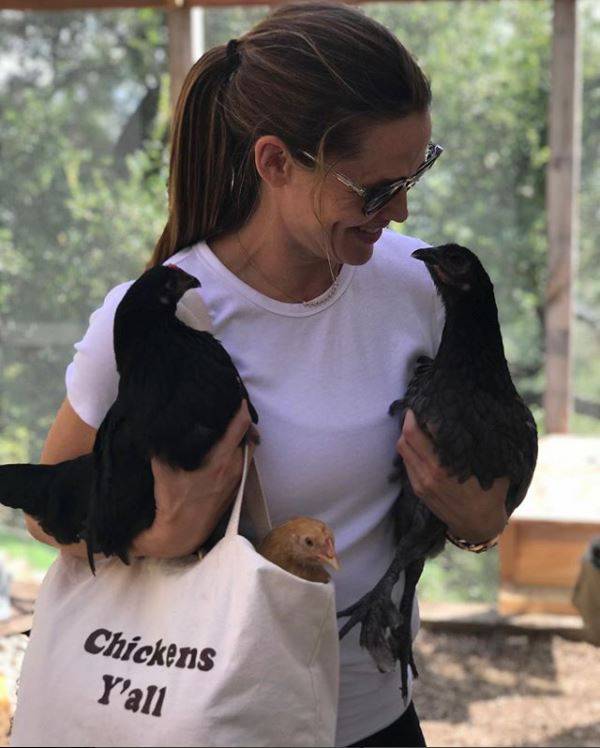 Jennifer Garner pati: Uginula njezina omiljena kokoš Regina