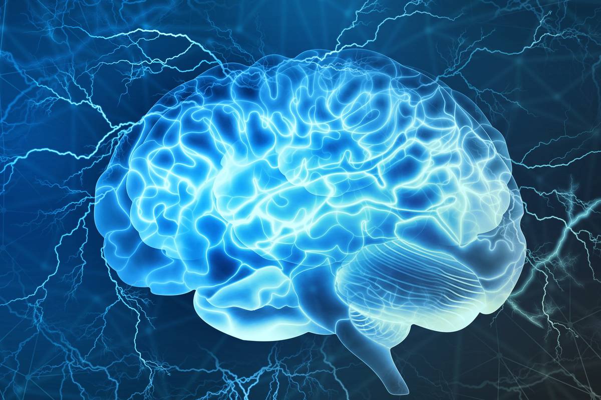 Mozak modernog čovjeka razvio se kasnije nego što se misli?