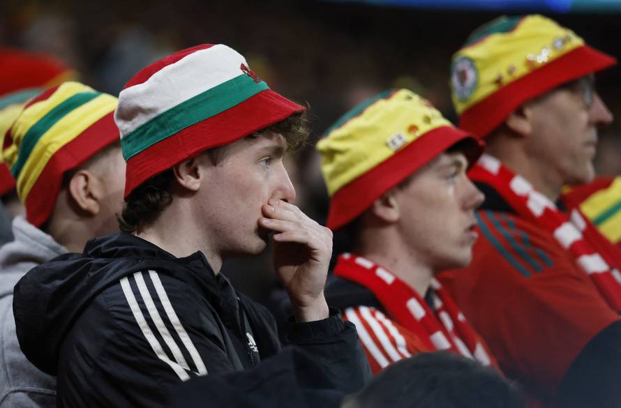FIFA World Cup - UEFA Qualifiers - Semi Final - Wales v Bosnia and Herzegovina