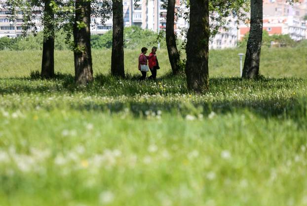 Na današnji dan obilježava se Dan planeta Zemlje