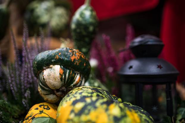 Održana 21. Bučijada i Sajam bučina ulja u Ivanić-Gradu