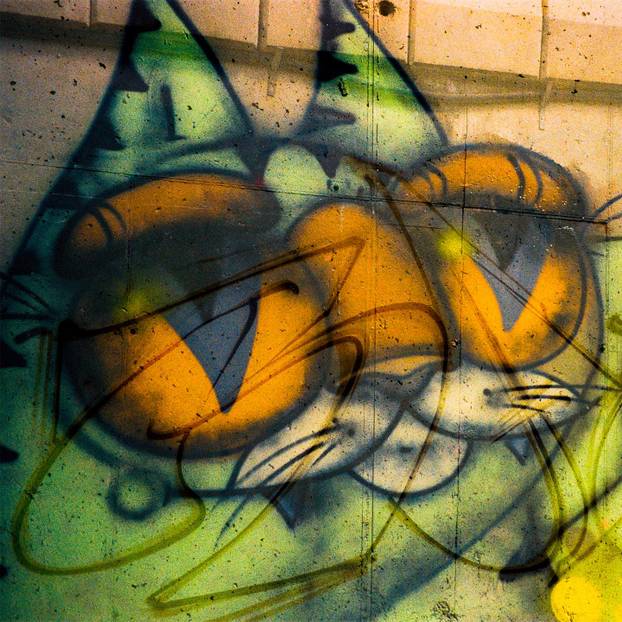 FOTO Grad pretvoren u galeriju: Pogledajte predivne murale na kućama i zgradama u Čačku