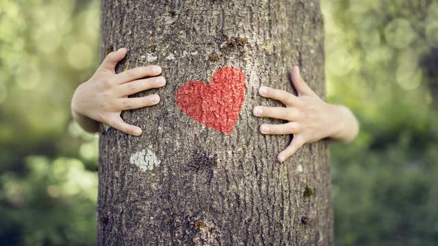 Tree hugging, love nature