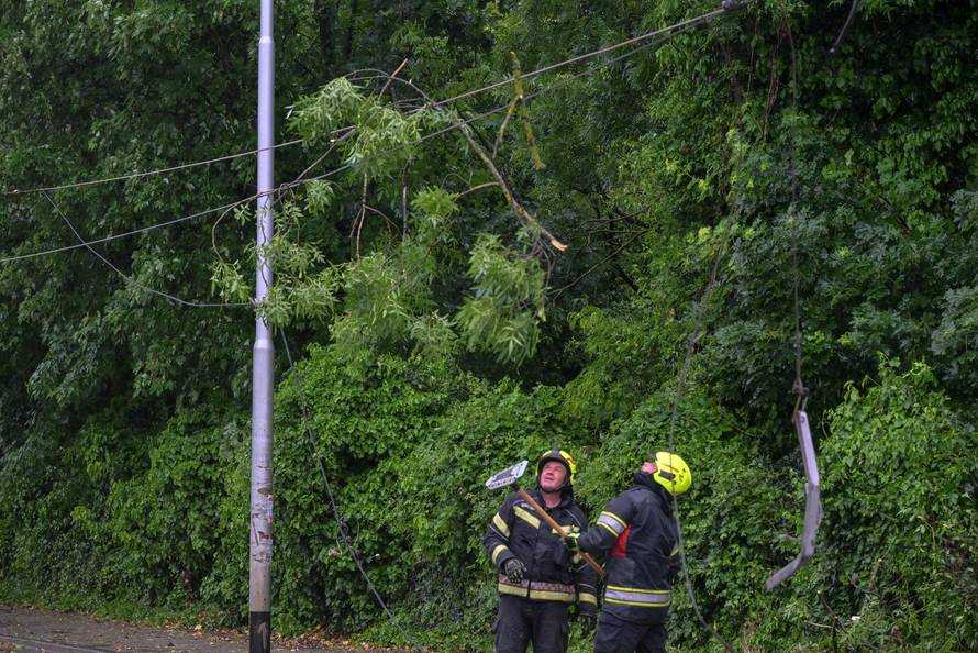 Zagreb: Palo stablo na Maksimirskoj, blokiran promet, vatrogasci na terenu