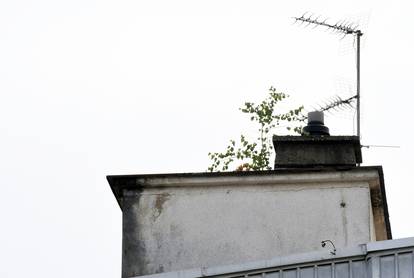 FOTO: Prošlo je 2,5 godine od potresa. Ovako danas izgledaju Osnovna škola i igralište u Sisku