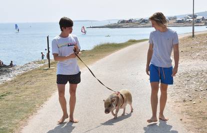 Ona je hit: 'Naša mala svinjica svakome na plaži uljepša dan'