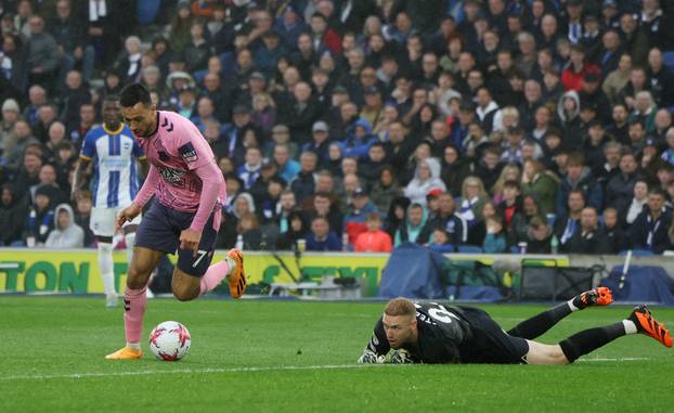 Premier League - Brighton & Hove Albion v Everton