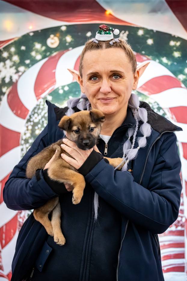 I psići vole advent: Preslatke fotke štenaca koji traže dom