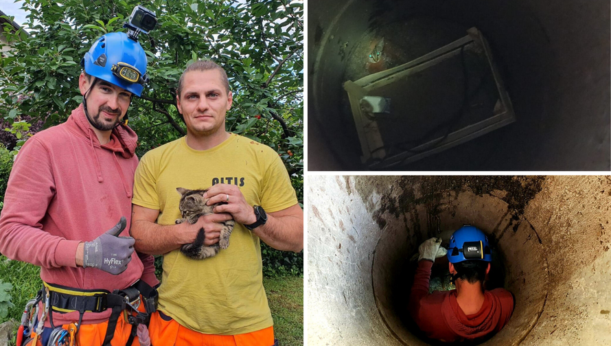 Mačić je spašen! Izvukli su ga alpinisti s katedrale u Zagrebu