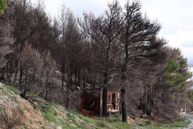 24SATA Omi&scaron;: Borna Budi&cacute;, Ponos Hrvatske