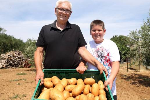 Djed i unuk (10) uzgojili kapulu od 2,37 kg i tri tone krumpira: 'Moj did i ja imamo ga za sve!'