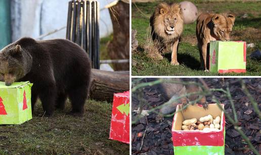 FOTO 'Djed Mraz' stigao u ZOO Zagreb i donio poslastice za sve