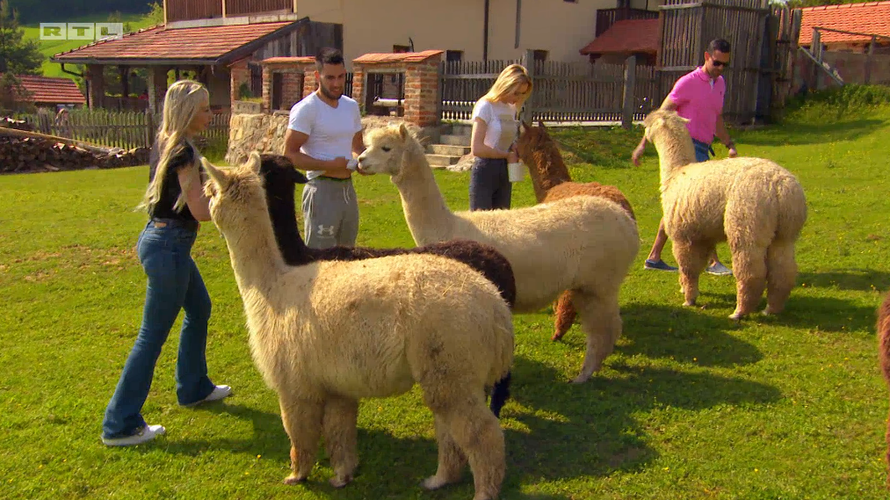 Alen rasplakao Anu u 'Braku na prvu': Otkud ti pravo i tko si ti? Brad Pitt? Ovo je jako površno!