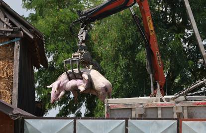 Ono o čemu se šuti: U poljoprivredi se itekako mulja, a sad ispašta cijela Slavonija