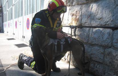 Prvi hrvatski "psi vatrogasci" kao specijalci spašavaju ljude