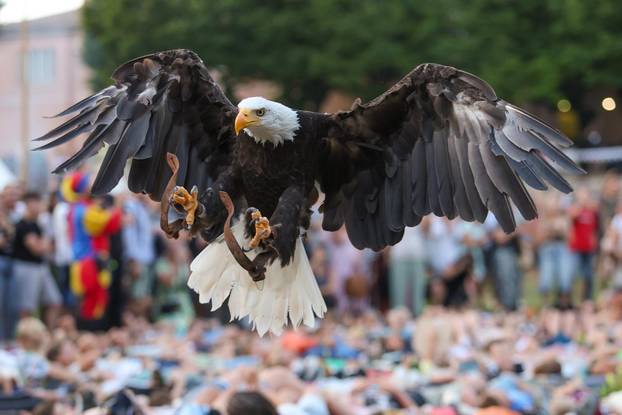 Otvoren je  13. Srednjovjekovni festival u Svetvinčentu