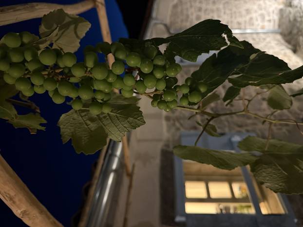 FOTO Kaštelet kod Opatije iz snova: Obnovili smo ga kako bismo očuvali obiteljske tajne