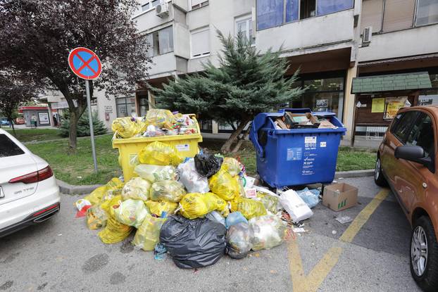 Zagreb: Pretrpani kontejneri u Gajnicama i Stenjevcu