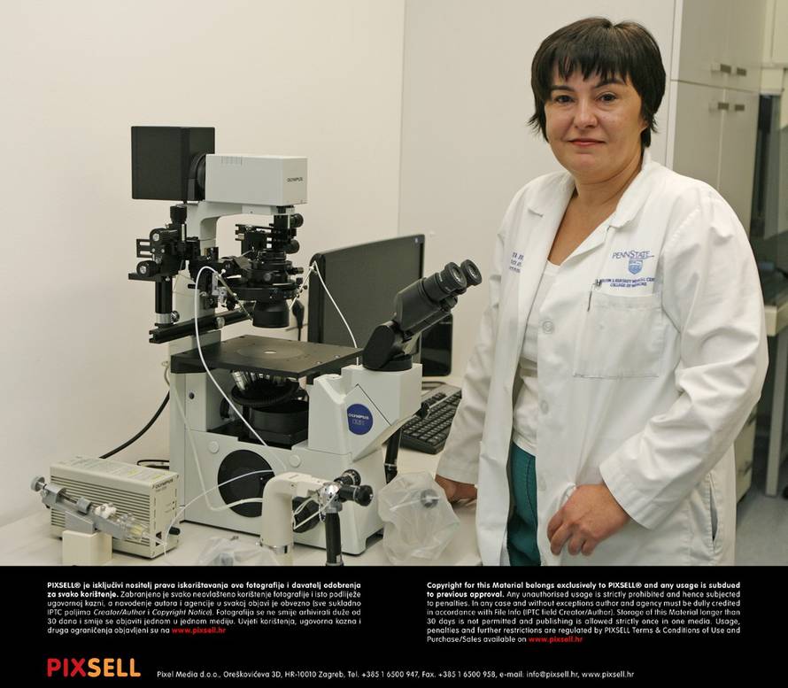 Martina Popovčić/Pixsell