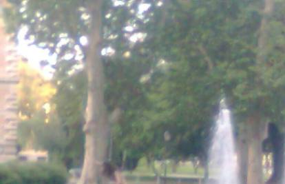 Razdragani mladić u zoru se kupao u fontani i grlio stabla