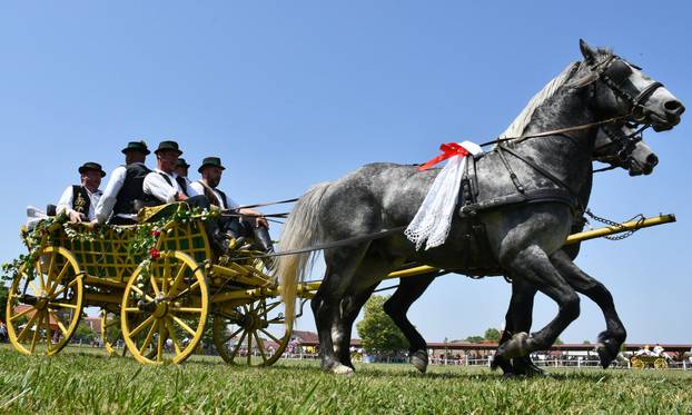 FOTO U znaku tradicije: Na 44. manifestaciji 'Konji bijelci' vozile su se i svadbarske kočije
