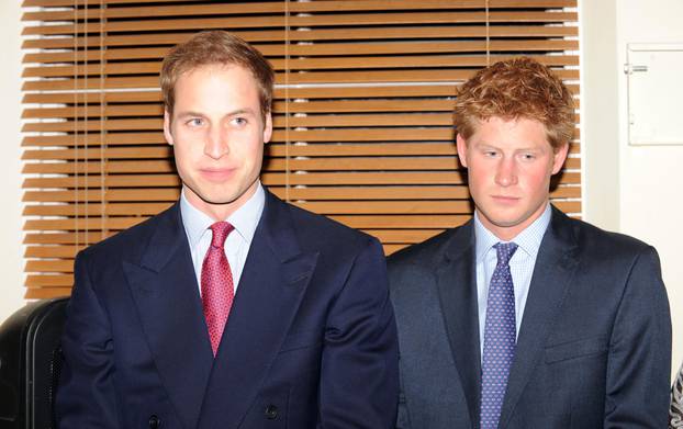 Princes launch Henry van Straubenzee Memorial Fund