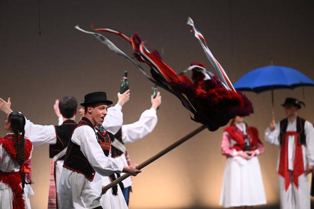 Zagreb: Humanitarni Ladov koncert korak za Korak u zivot