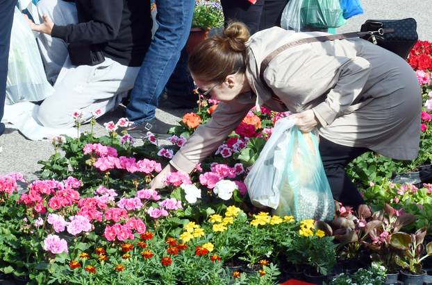 Sisak: Subotnja ponuda cvijećana tržnici