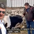 Butković: 'Koje li ironije, uđeš u kampanju kao predsjednik, a iz nje izađeš kao kravokradica!'