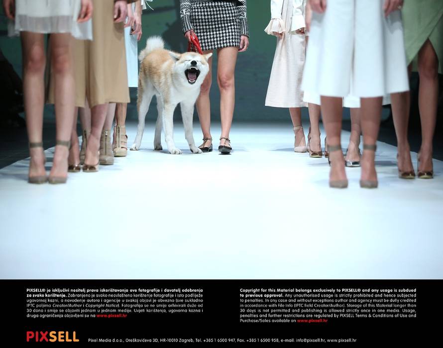 Sanjin Strukić/Pixsell