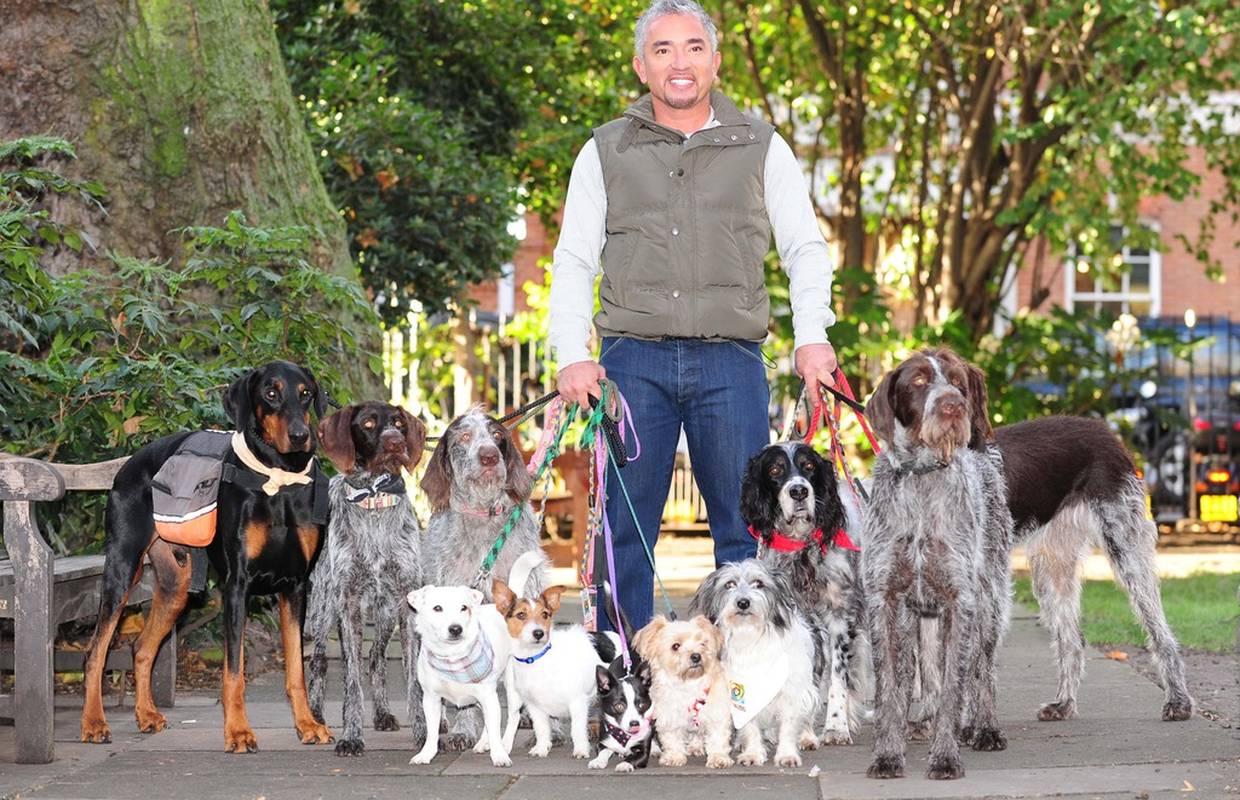 Cesar Millan: Nisam udario psa već ga natjerao na poslušnost