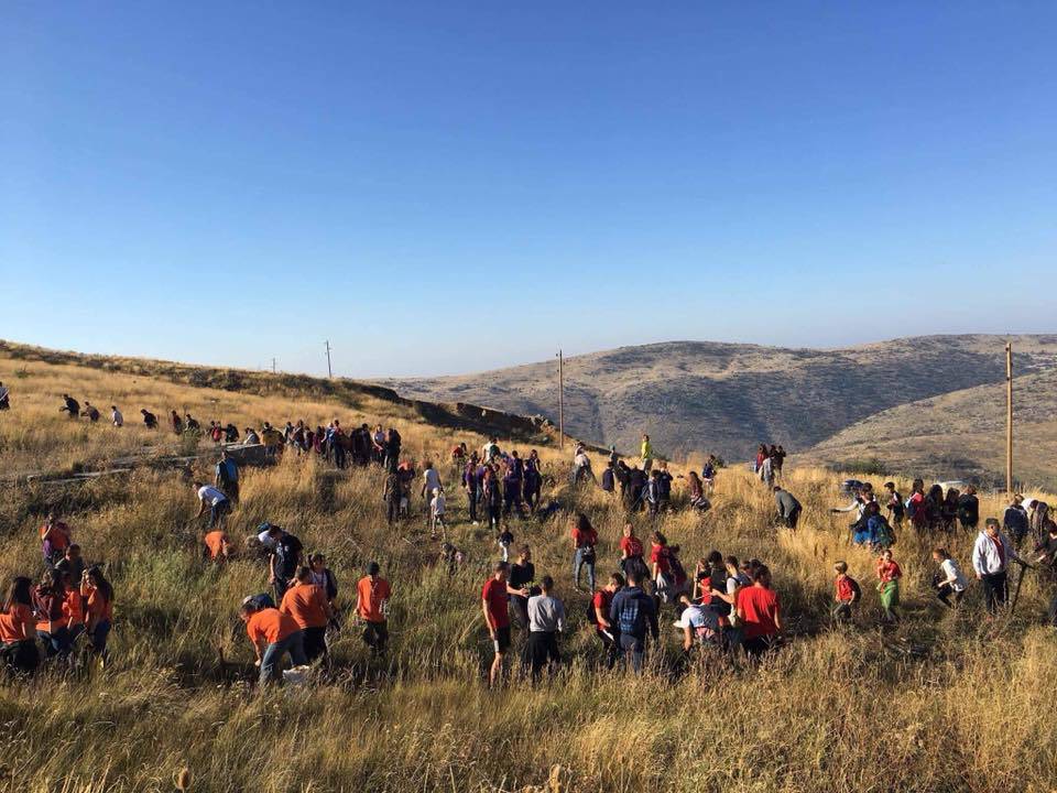 Boranka: Posadili 8000 novih sadnica u šumi iznad Kožina